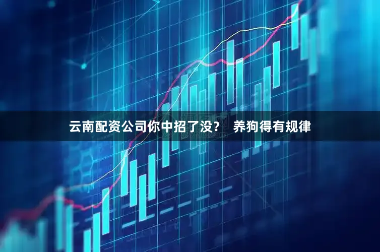 云南配资公司你中招了没？  养狗得有规律